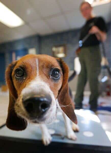 airport security