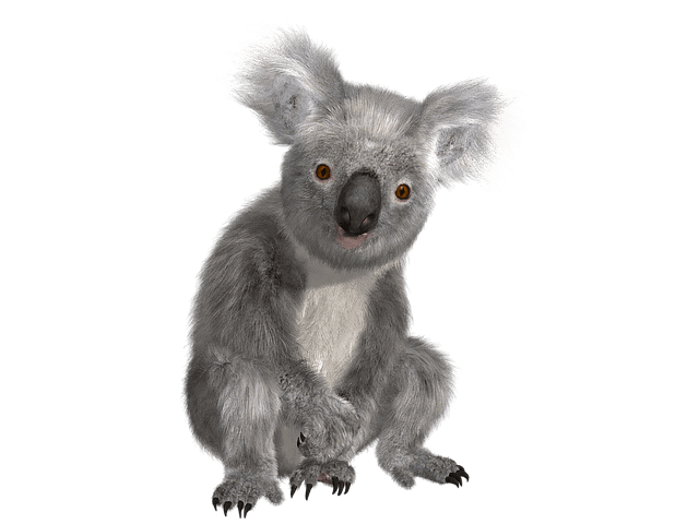Australian wildlife