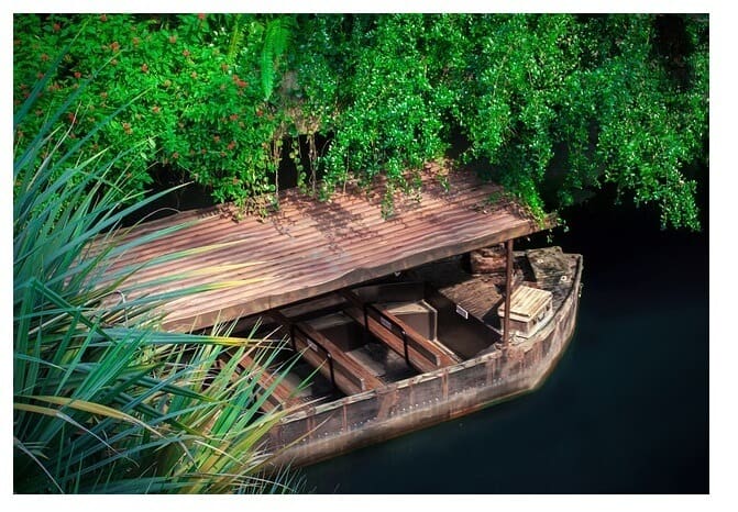 travel up the Amazon