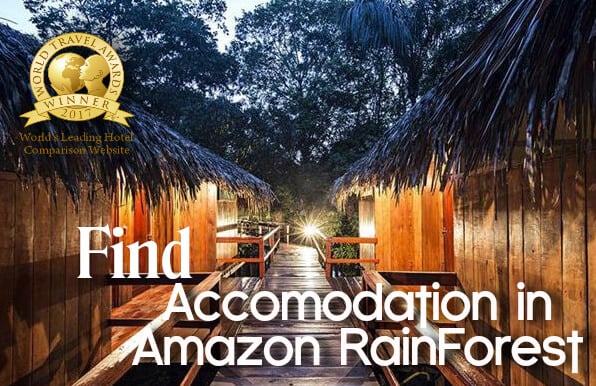 amazon rainforest