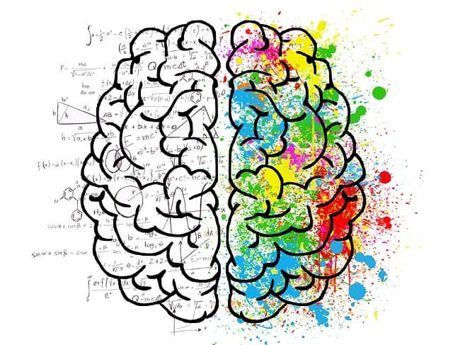 human psychology and dynamic