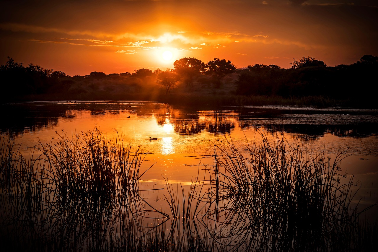 Africa hub image