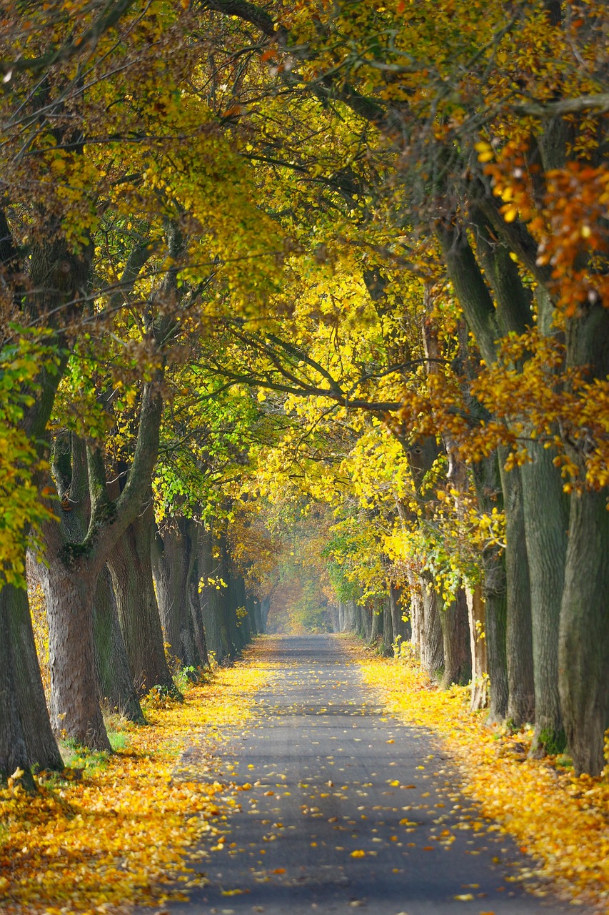 Poland in four seasons: spring cities, summer coast, autumn color, winter mountains