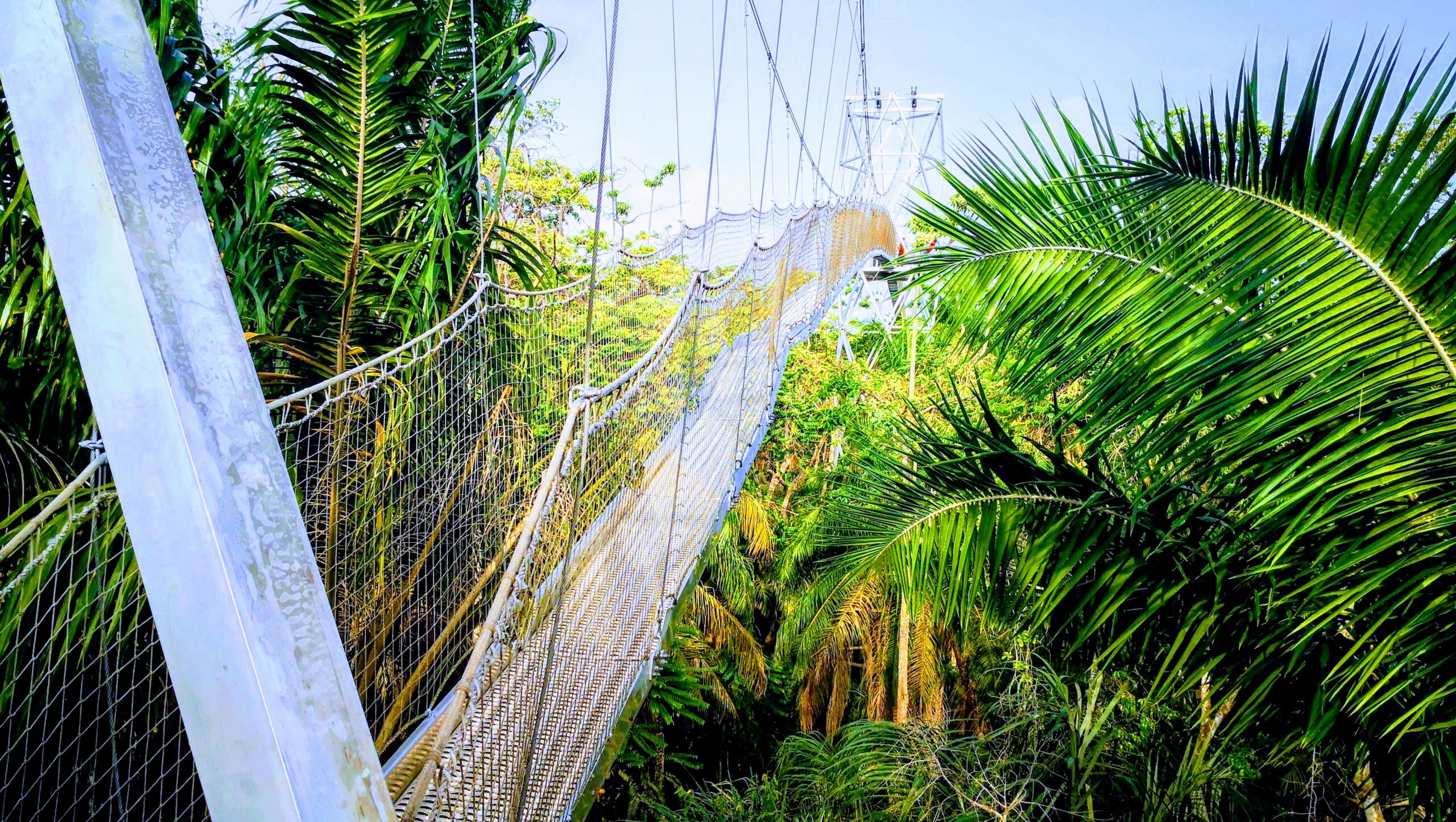 Canopy walkway at Lekki Conservation Centre