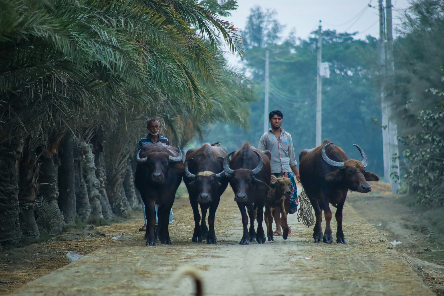 Chattogram rural feels
