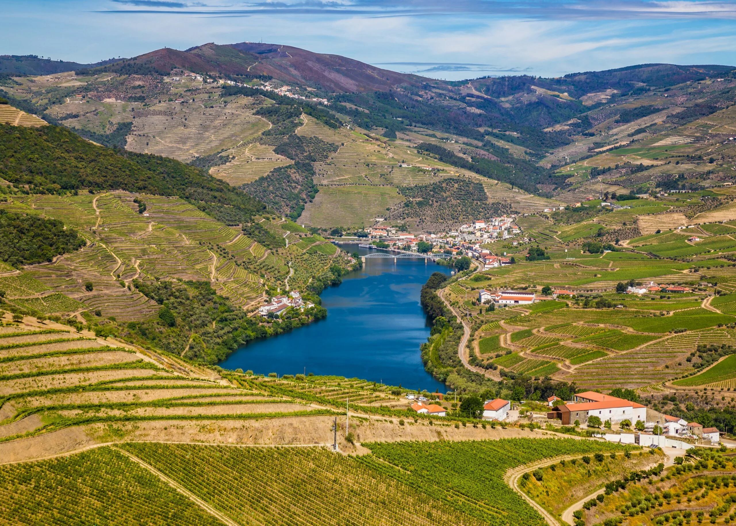 Portugal: Douro Valley terraced vineyards along the river with traditional wine estates