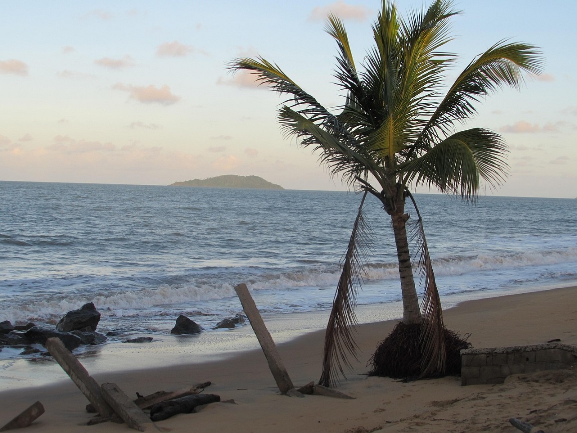 Palm-lined beach at Kourou with the Îles du Salut offshore