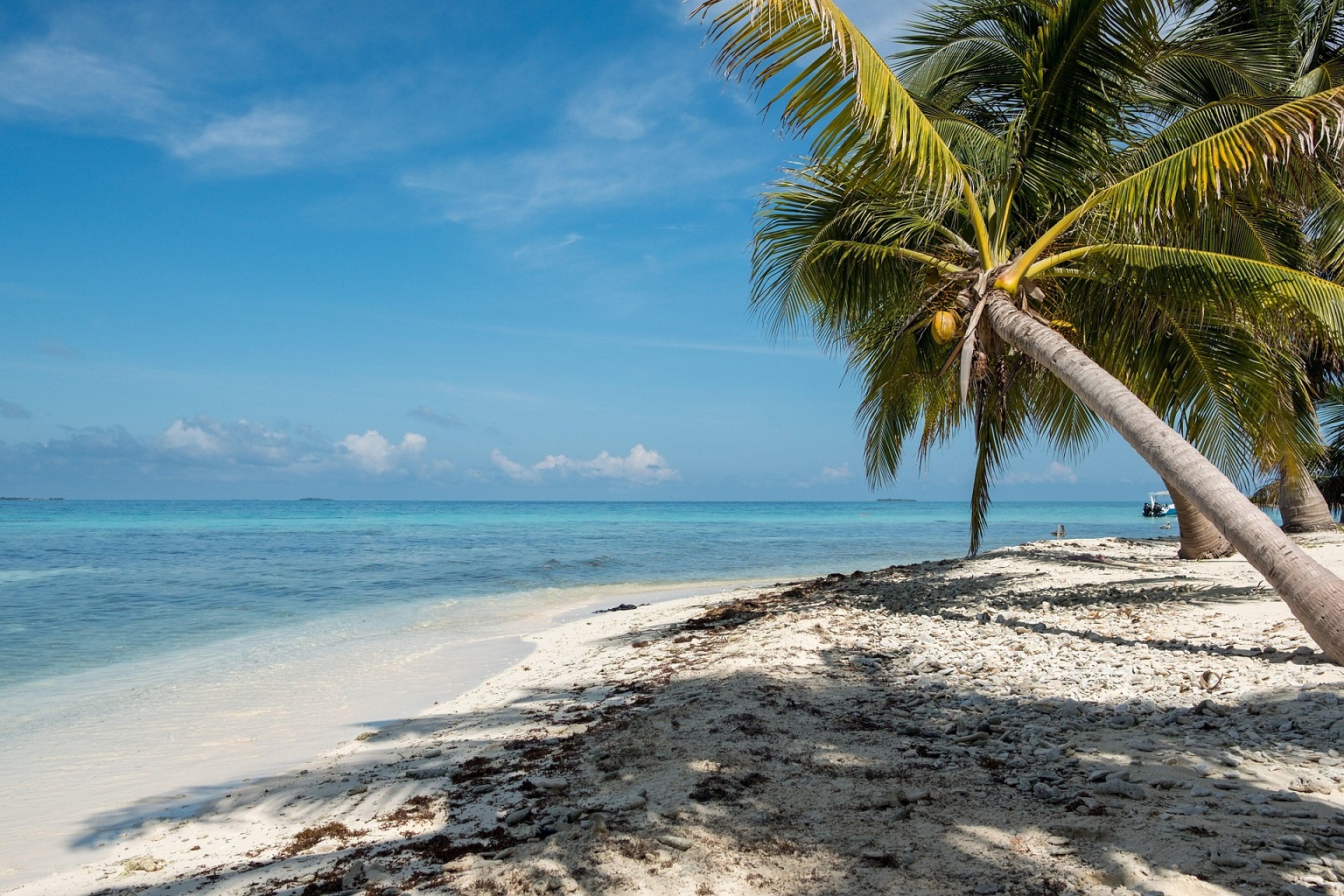 Laughing Bird Caye in Belize