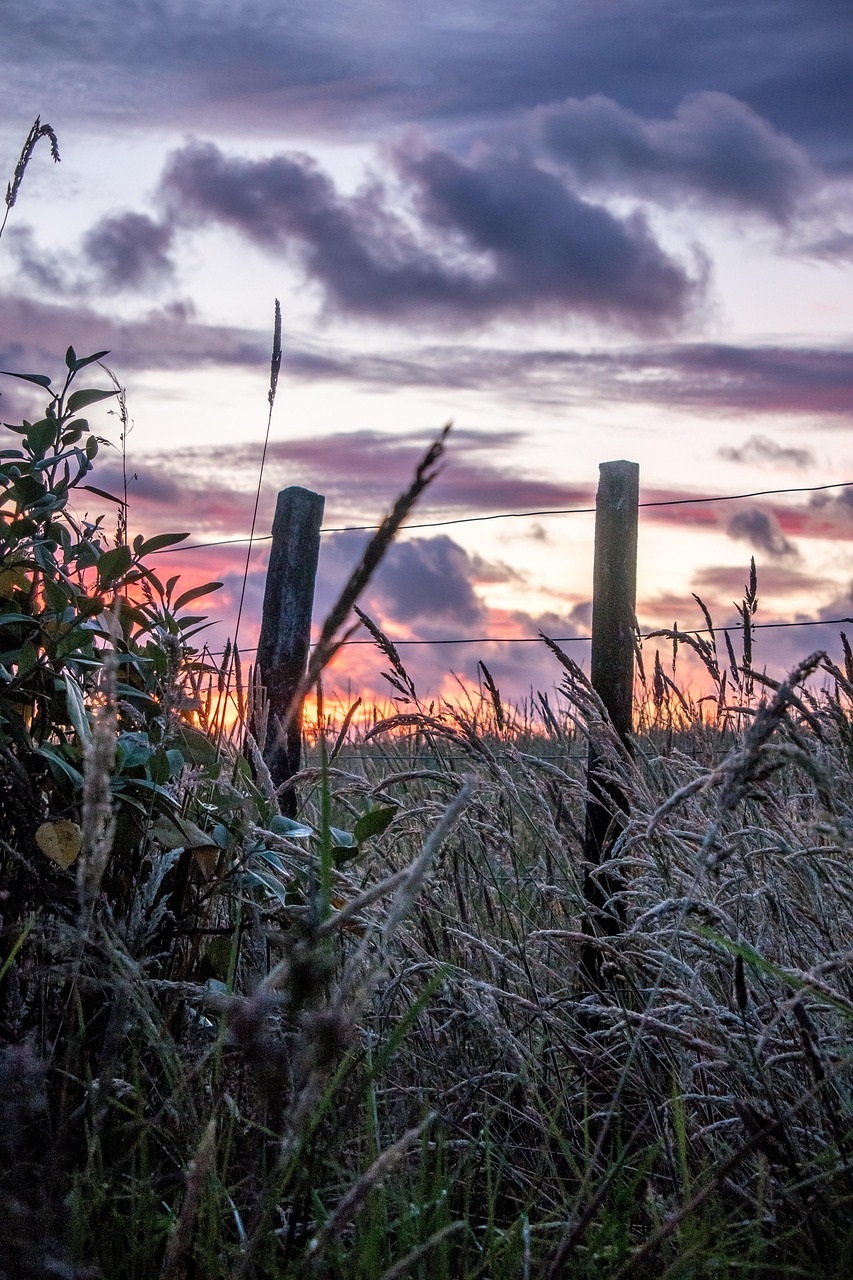 Sunrise in New Zealand