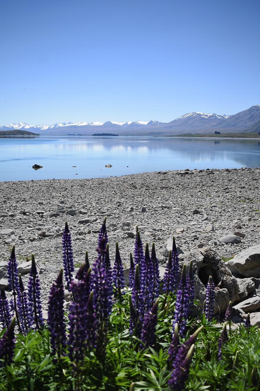 New Zealand seasonal scenery with lake and mountains