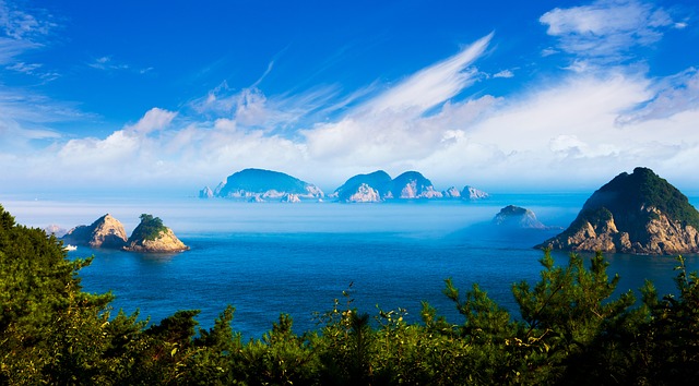 Busan coastline and dense city skyline
