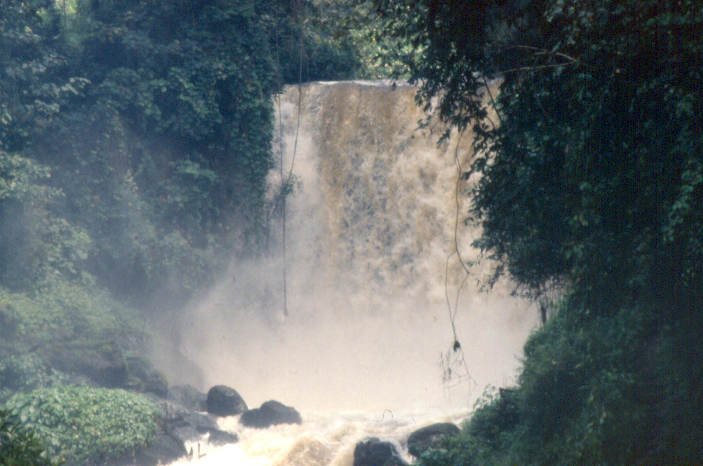 Landscape of Virunga National Park in the Democratic Republic of Congo