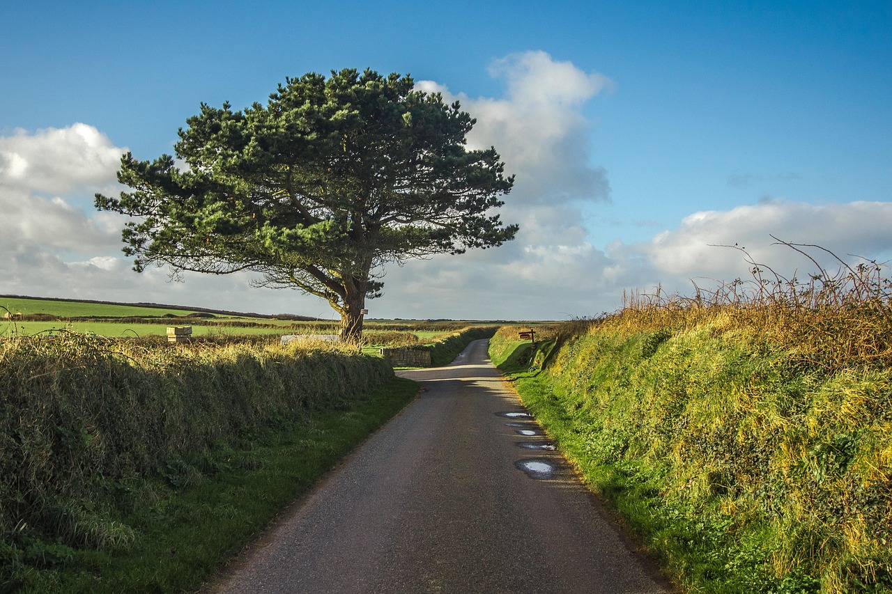 A quiet country lane scene representing the slower side of the British Isles