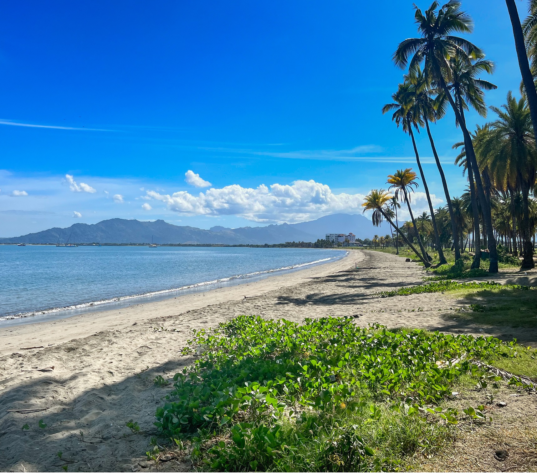 Fiji tropical lagoon with clear water and palm-lined shore