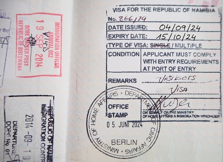 Traveller checking visas and entry requirements before departure
