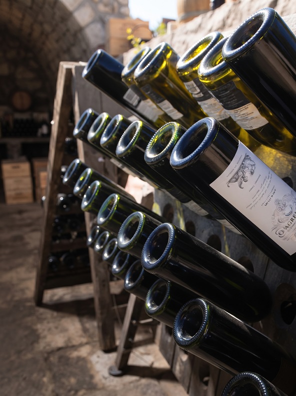 Wine in Mendoza, Argentina