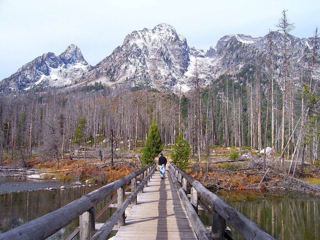 Walker crossing a wooden bridge towards the peaks of Grand Teton National Park, Wyoming