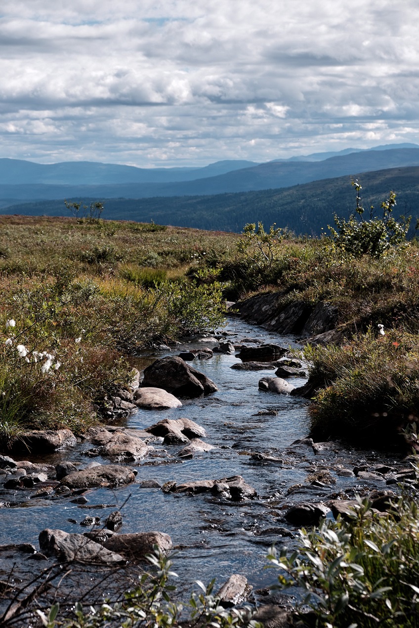 Rocky stream through autumn vegetation with distant mountains in Sweden