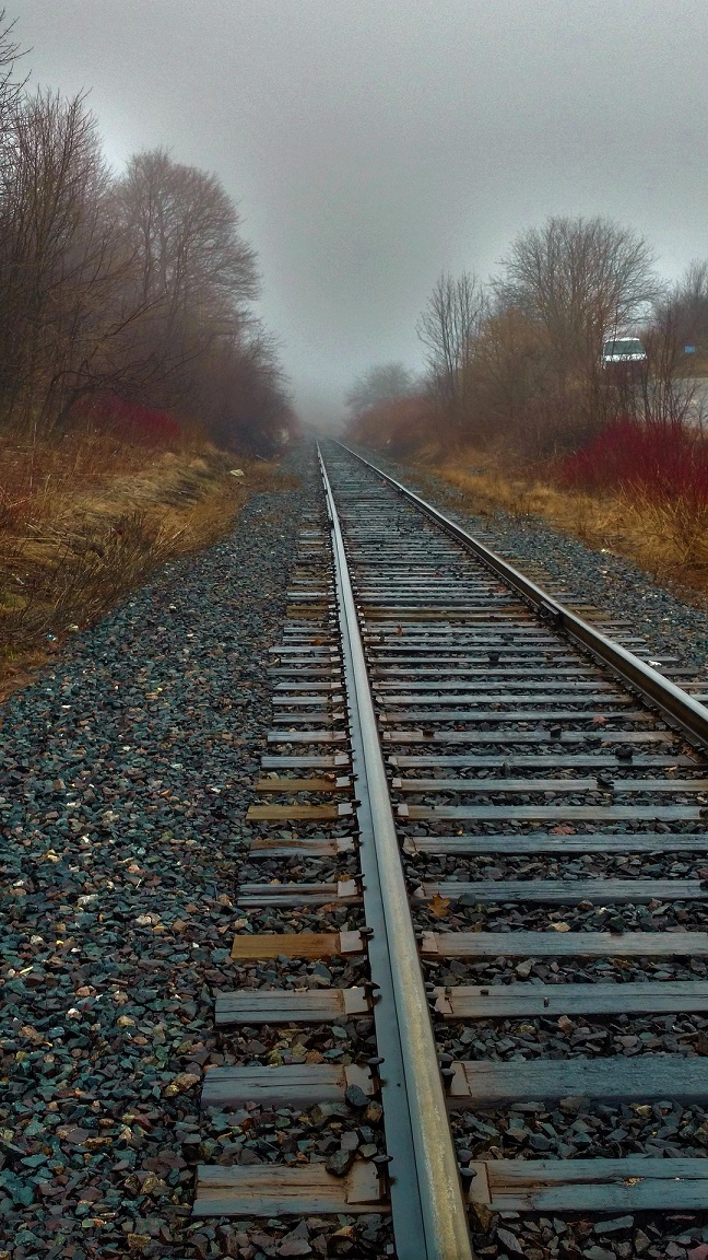 Railway tracks disappearing into mist between trees