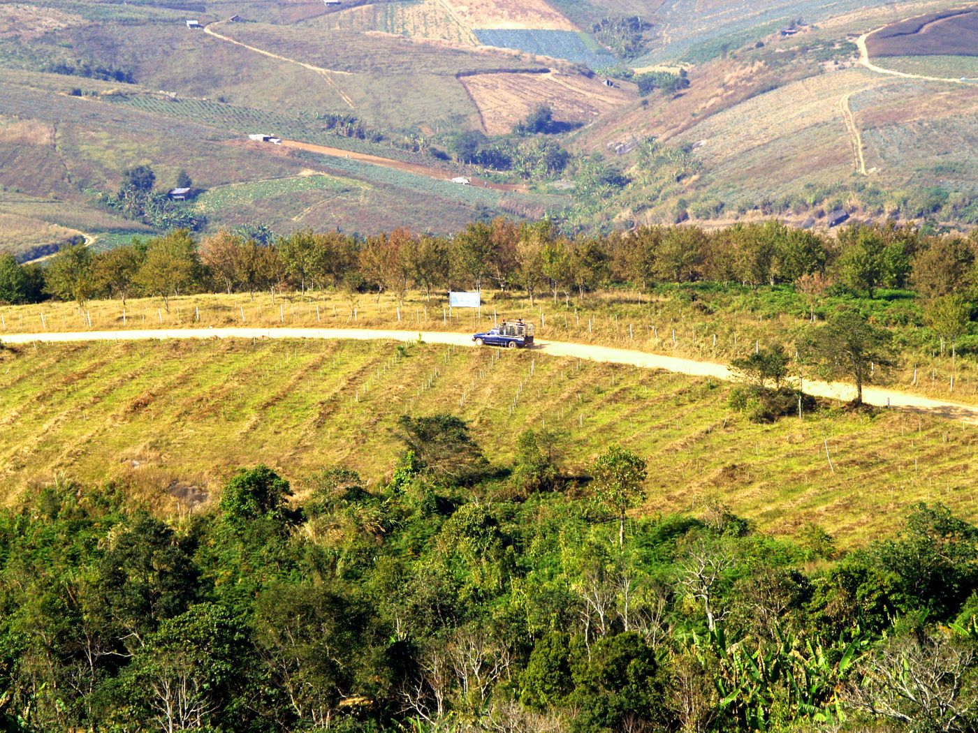 Winding rural road through green farmland with a car on the road