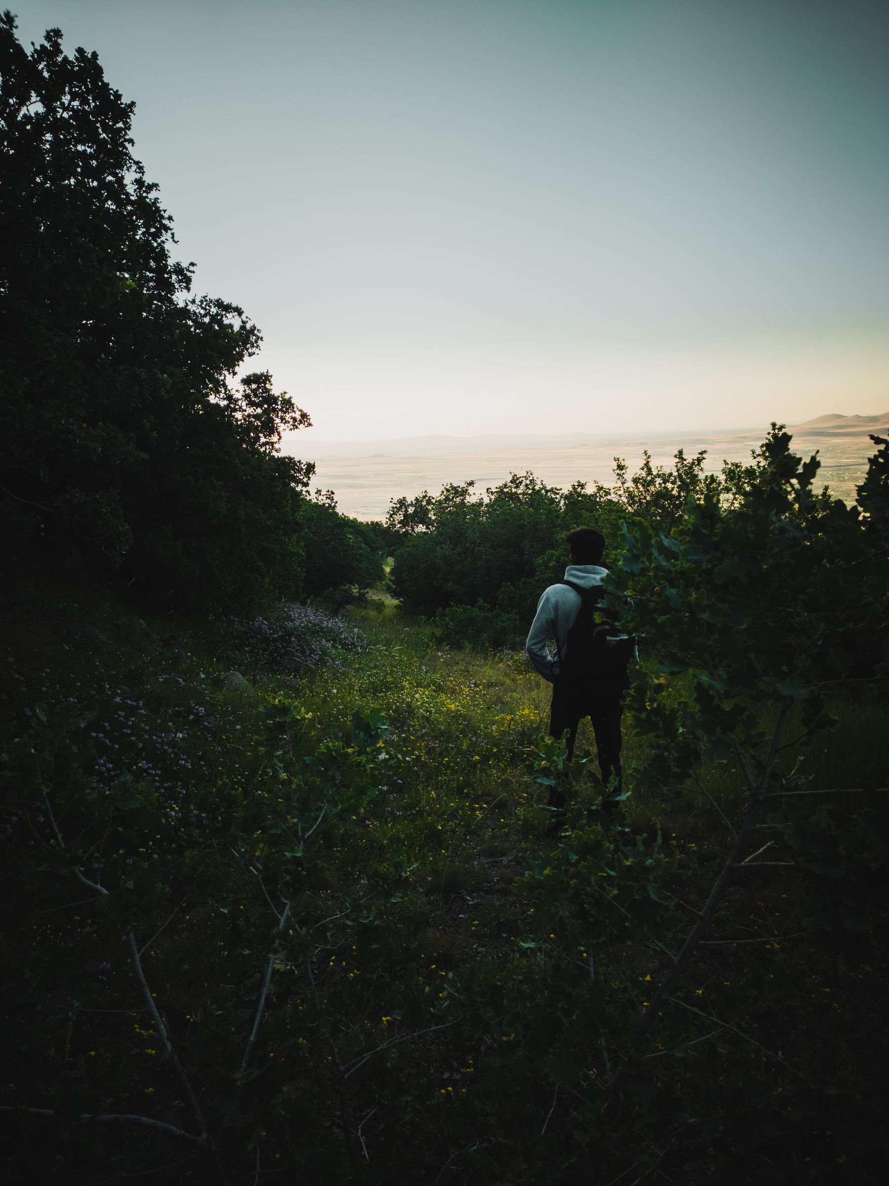Walker with a backpack following a grassy path towards the sunset