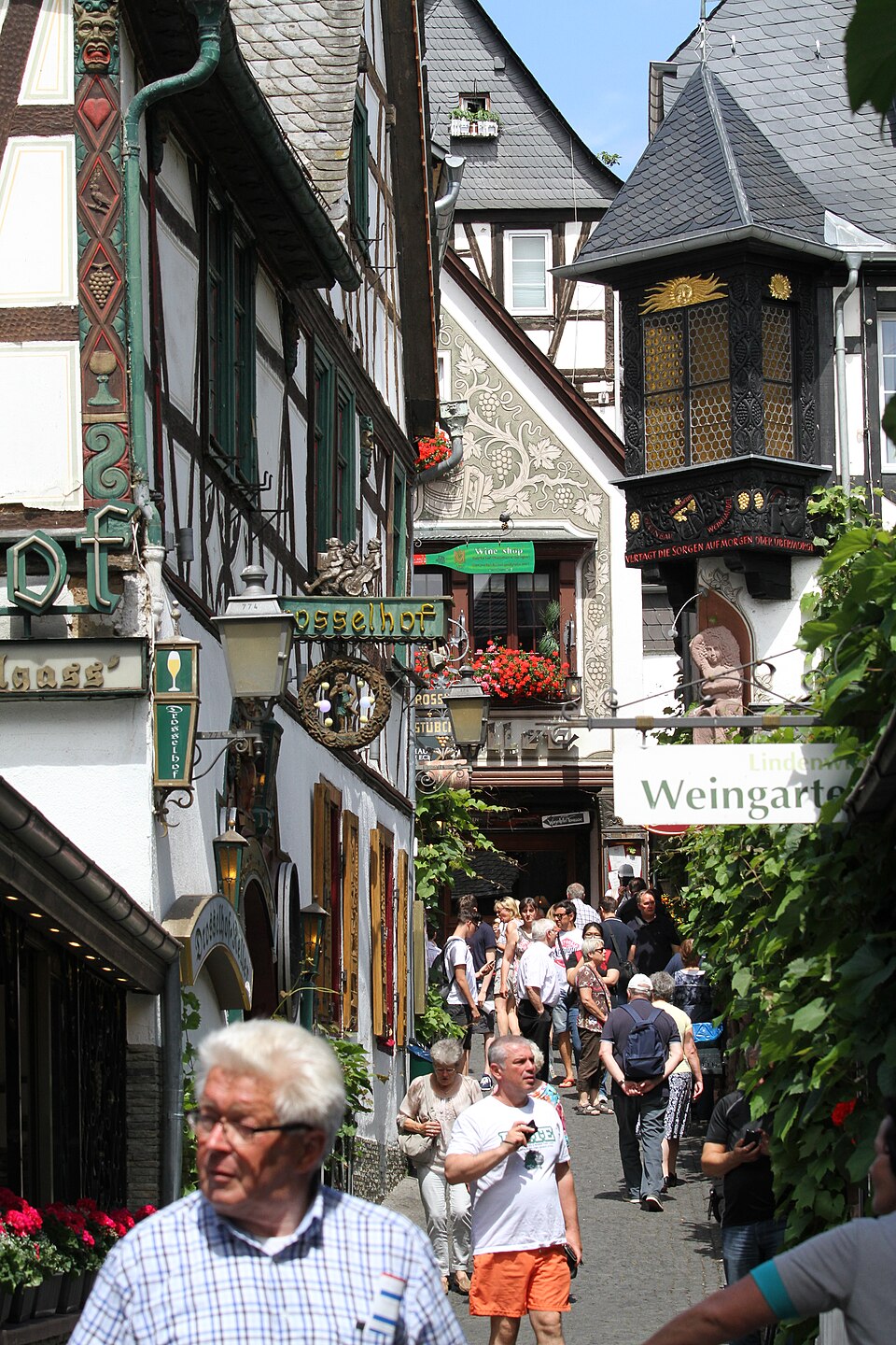 Taverns and traditional buildings along Drosselgasse in Rüdesheim