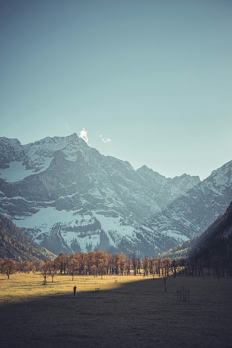 Person standing in a meadow beneath snow-covered mountains